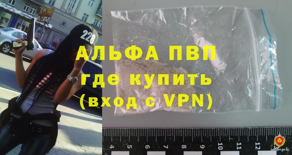 шишки Бородино