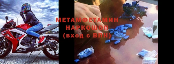 шишки Бородино