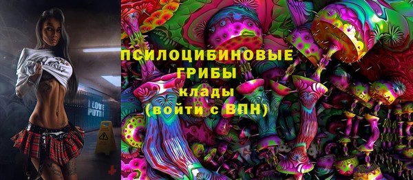 марки lsd Богородицк